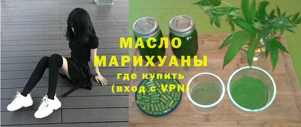 индика Пестово