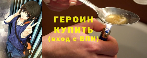 индика Пестово