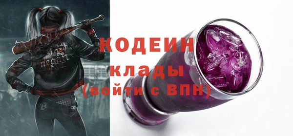 индика Пестово