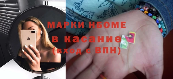 индика Пестово