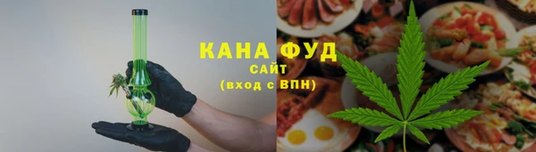 индика Пестово