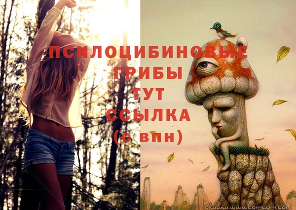 MDMA Premium VHQ Пересвет