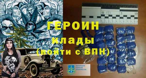 индика Пестово