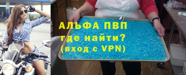 индика Пестово