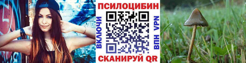 купить закладку  Большой Камень  Псилоцибиновые грибы прущие грибы 